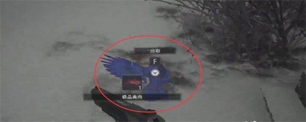 生化危机8奇异鸟在哪里