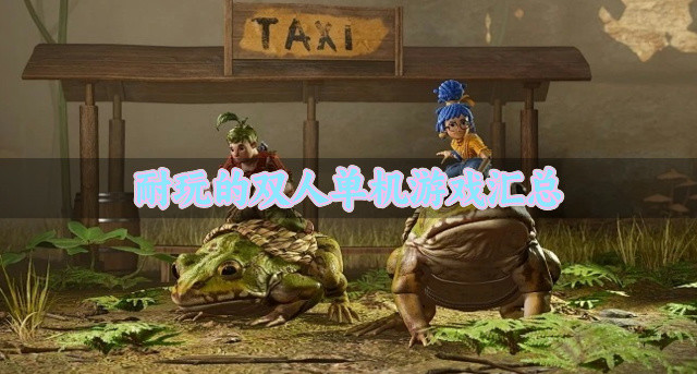 适合长期玩的双人单机游戏有哪些-耐玩的双人单机游戏汇总