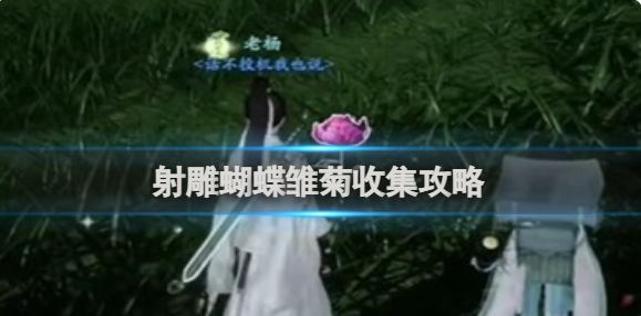 射雕蝴蝶雏菊怎么收集-蝴蝶雏菊收集攻略