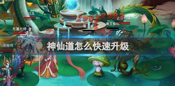 神仙道怎么快速升级-快速升级方法