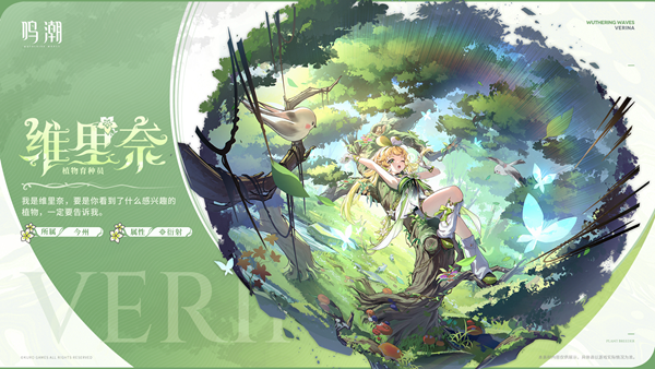 鸣潮维里奈怎么玩-维里奈培养攻略
