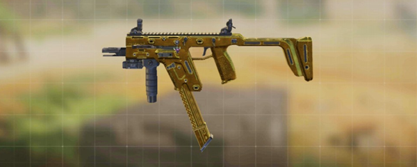 使命召唤fennec最强配件