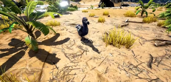 方舟生存进化渡渡鸟羽毛怎么获取-渡渡鸟羽毛获取方式