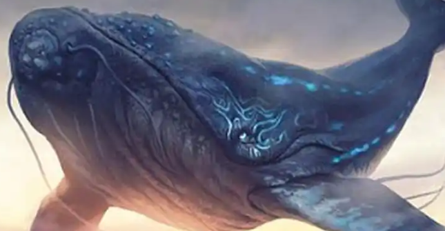 妄想山海捏脸码怎么使用-捏脸码使用方法