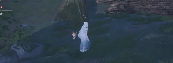 无限暖暖美甲金龟在哪捕捉-美甲金龟捕捉位置