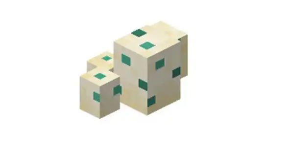 我的世界海龟蛋怎么采集-海龟蛋采集方法