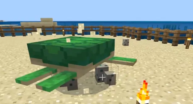 我的世界海龟蛋怎么孵化-海龟蛋孵化方法