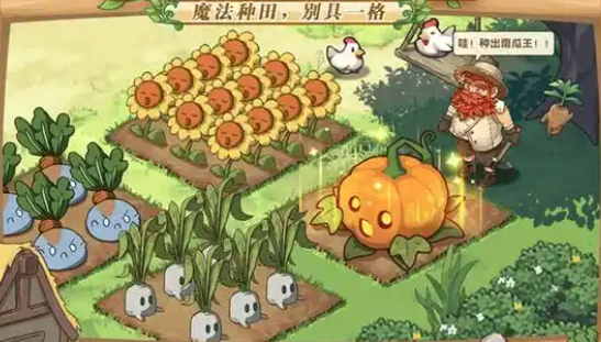 异世界慢生活相遇之石怎么合成-相遇之石合成方法