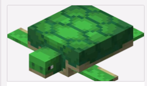 我的世界海龟蛋怎么获得-海龟蛋获取方法