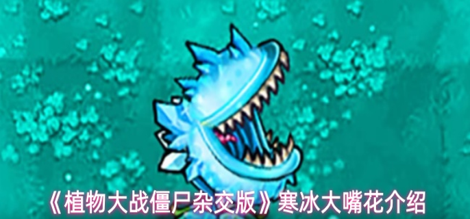 植物大战僵尸杂交版寒冰大嘴花怎么样-寒冰大嘴花介绍