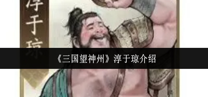 三国望神州淳于琼怎么样-淳于琼介绍