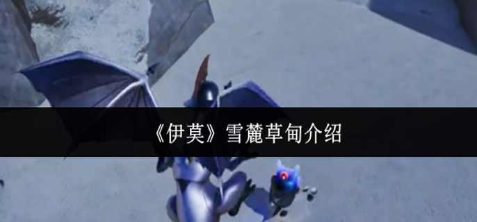 伊莫雪麓草甸怎么样-雪麓草甸介绍