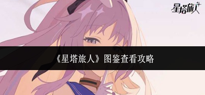 星塔旅人图鉴怎么查看-图鉴查看攻略