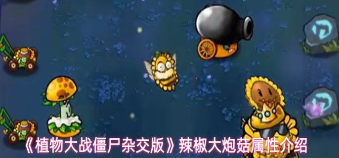 植物大战僵尸杂交版辣椒大炮菇属性怎么样-辣椒大炮菇属性介绍