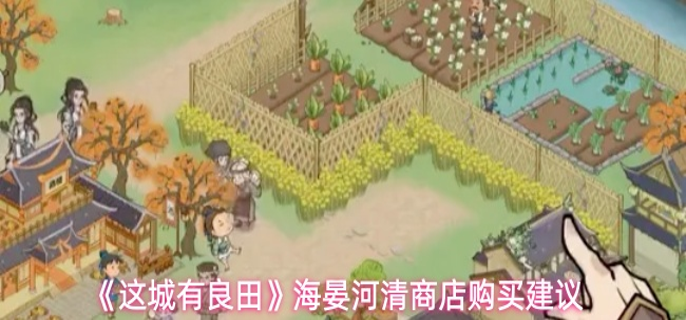 这城有良田海晏河清商店买什么好-海晏河清商店购买建议