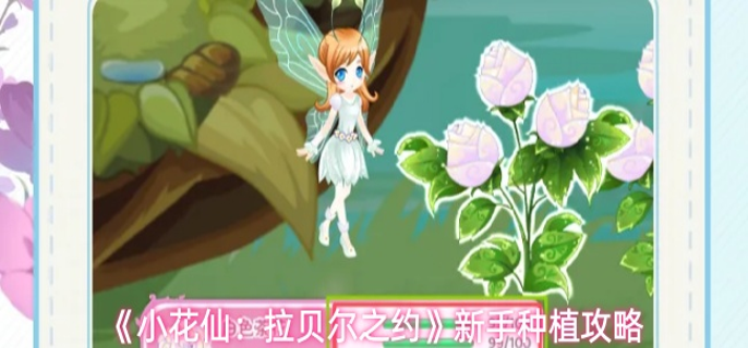 小花仙拉贝尔之约怎么种植-新手种植攻略