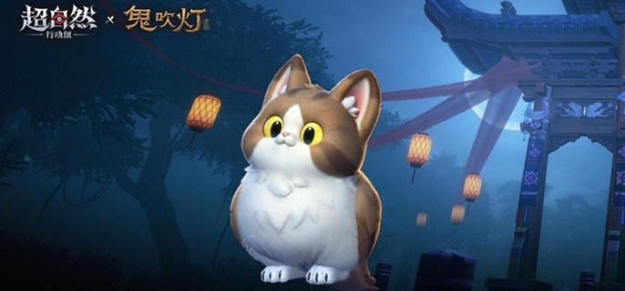 超自然行动组猫头鹰怎么抓-猫头鹰抓捕攻略
