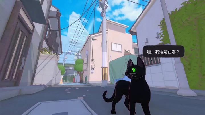 小猫咪大城市（云游戏）游戏截图2