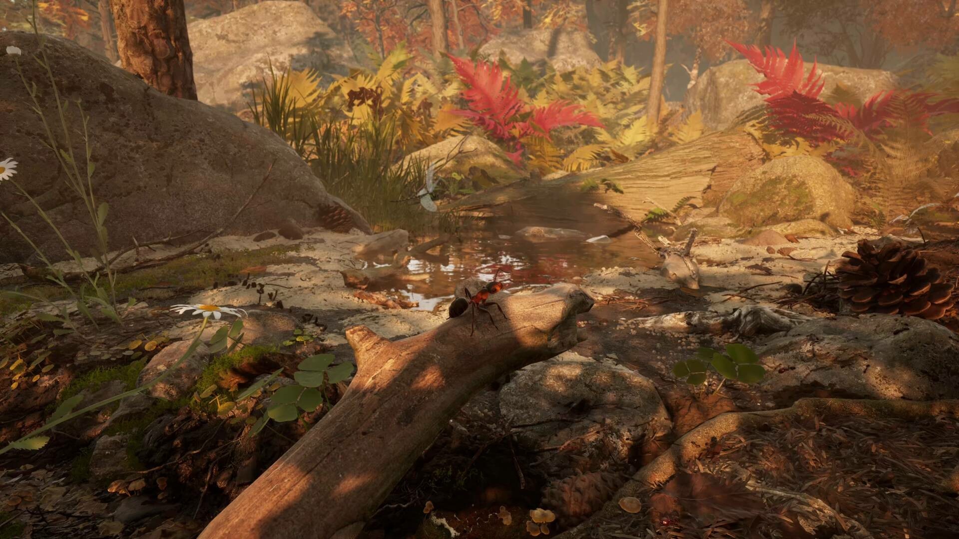 蚂蚁帝国 Empire of the Ants（云游戏）游戏截图5