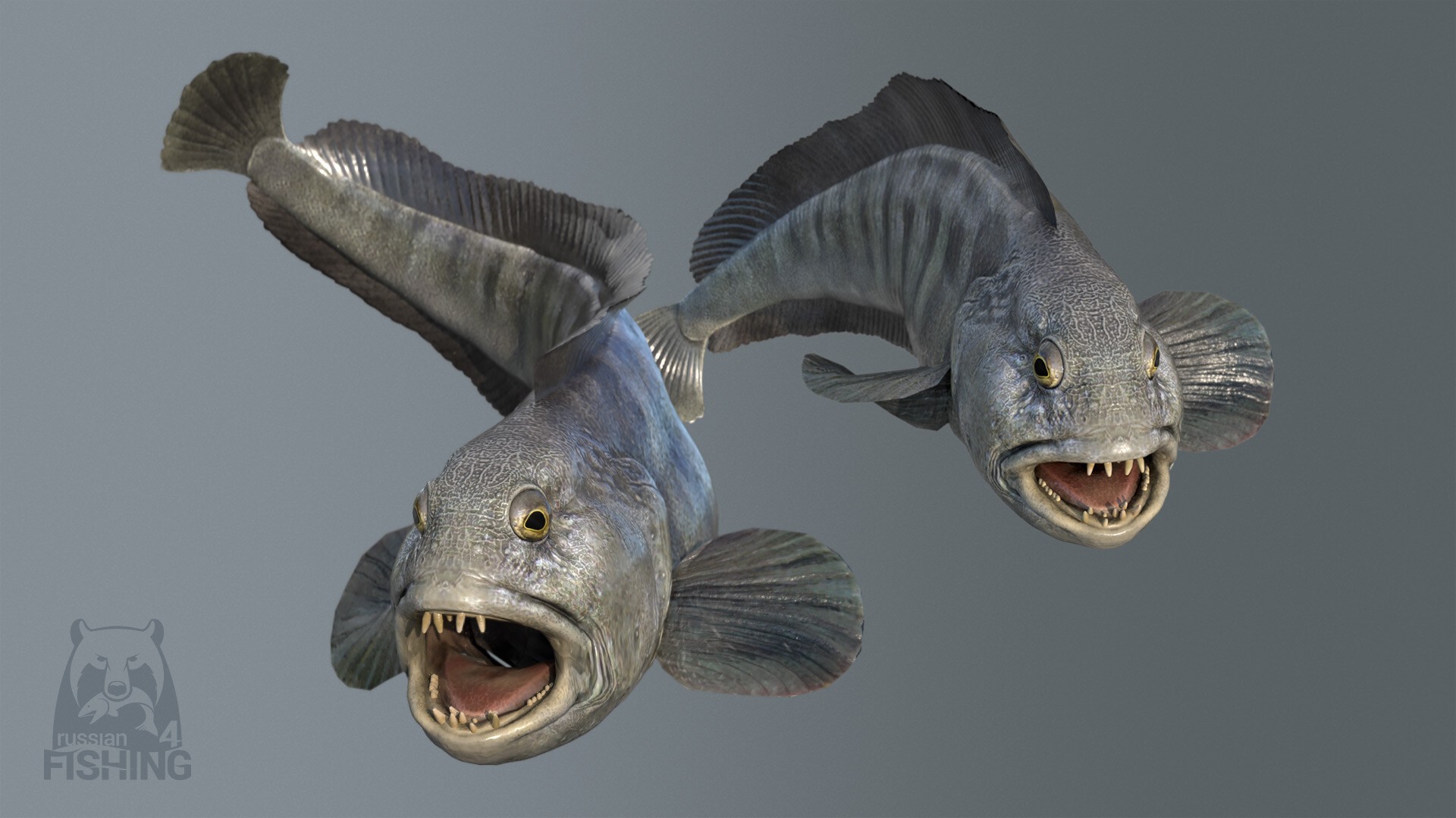 俄罗斯钓鱼4（云游戏）游戏截图5