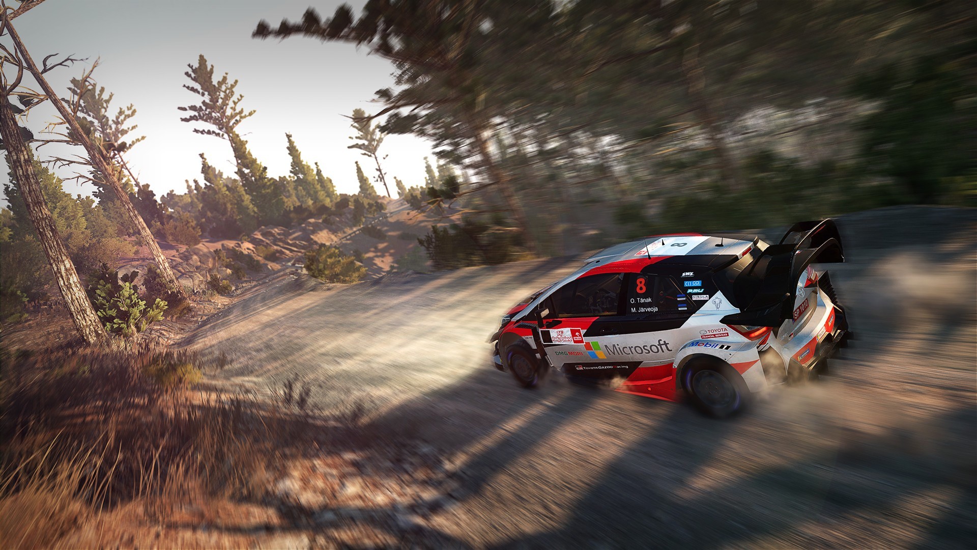 WRC8 世界汽车拉力锦标赛8（云游戏）游戏截图3