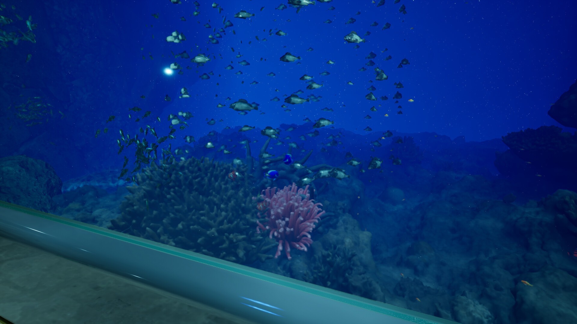 8月32日的水族馆（云游戏）游戏截图4