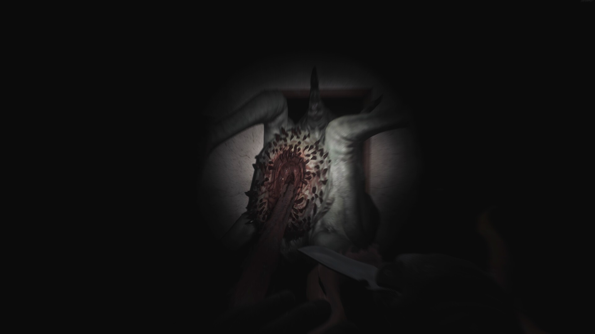 SCP5K（云游戏）游戏截图3