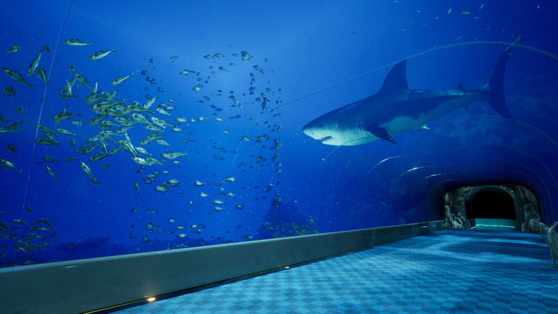 8月32日的水族馆（云游戏）游戏截图1